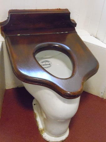 A vintage-style toilet with a wooden seat and lid, featuring the inscription 'Moulton & Co Combination'. The seat is intricately crafted, and the surrounding area is composed of red flooring and white-paneled walls.