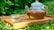 A glass teapot filled with herbal tea featuring red goji berries, placed on a wooden tray. The teapot is accompanied by a small, transparent glass cup. The scene is set outdoors amidst lush green foliage, suggesting a serene and natural setting.