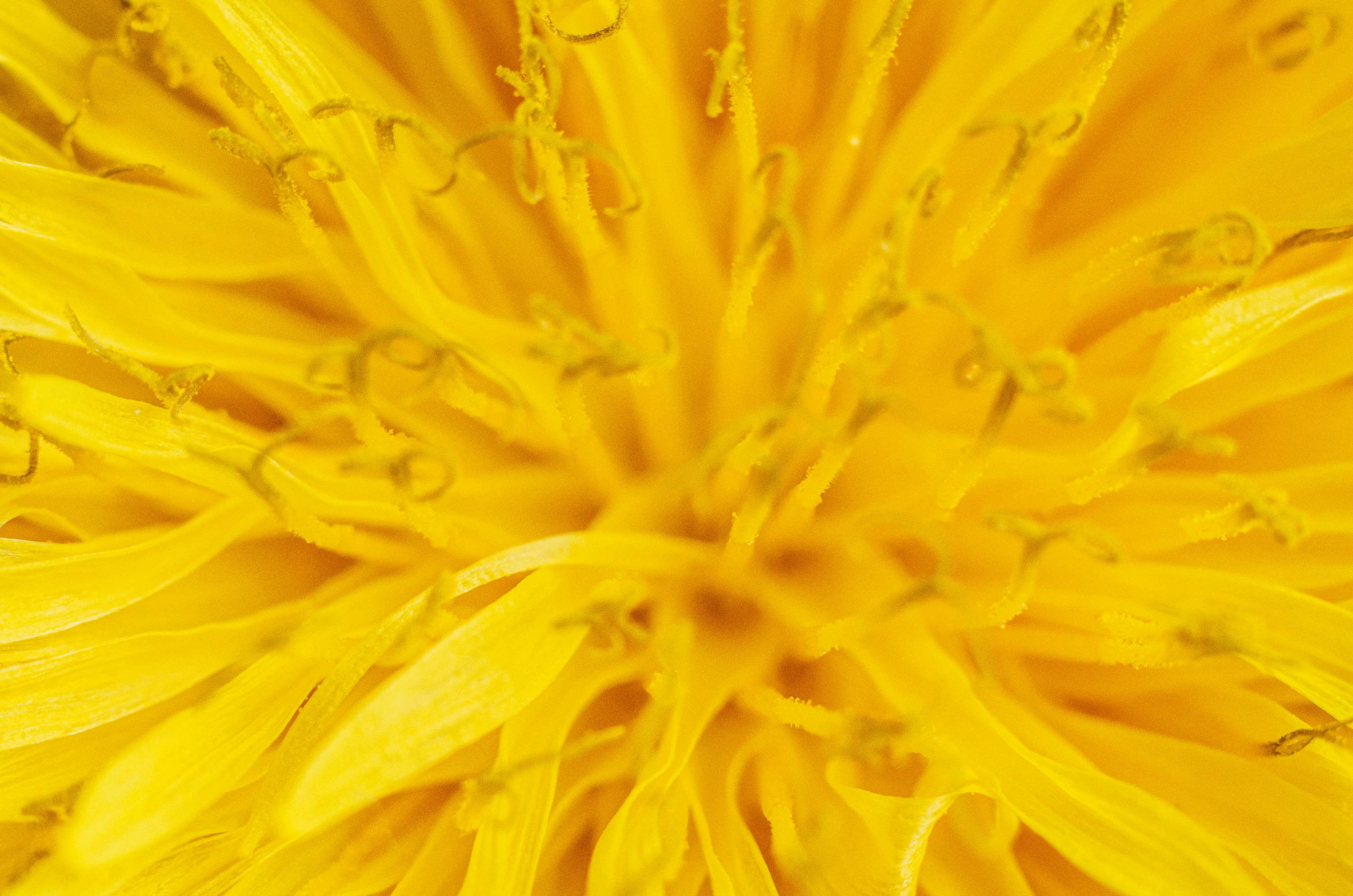 Photo by viktortalashuk