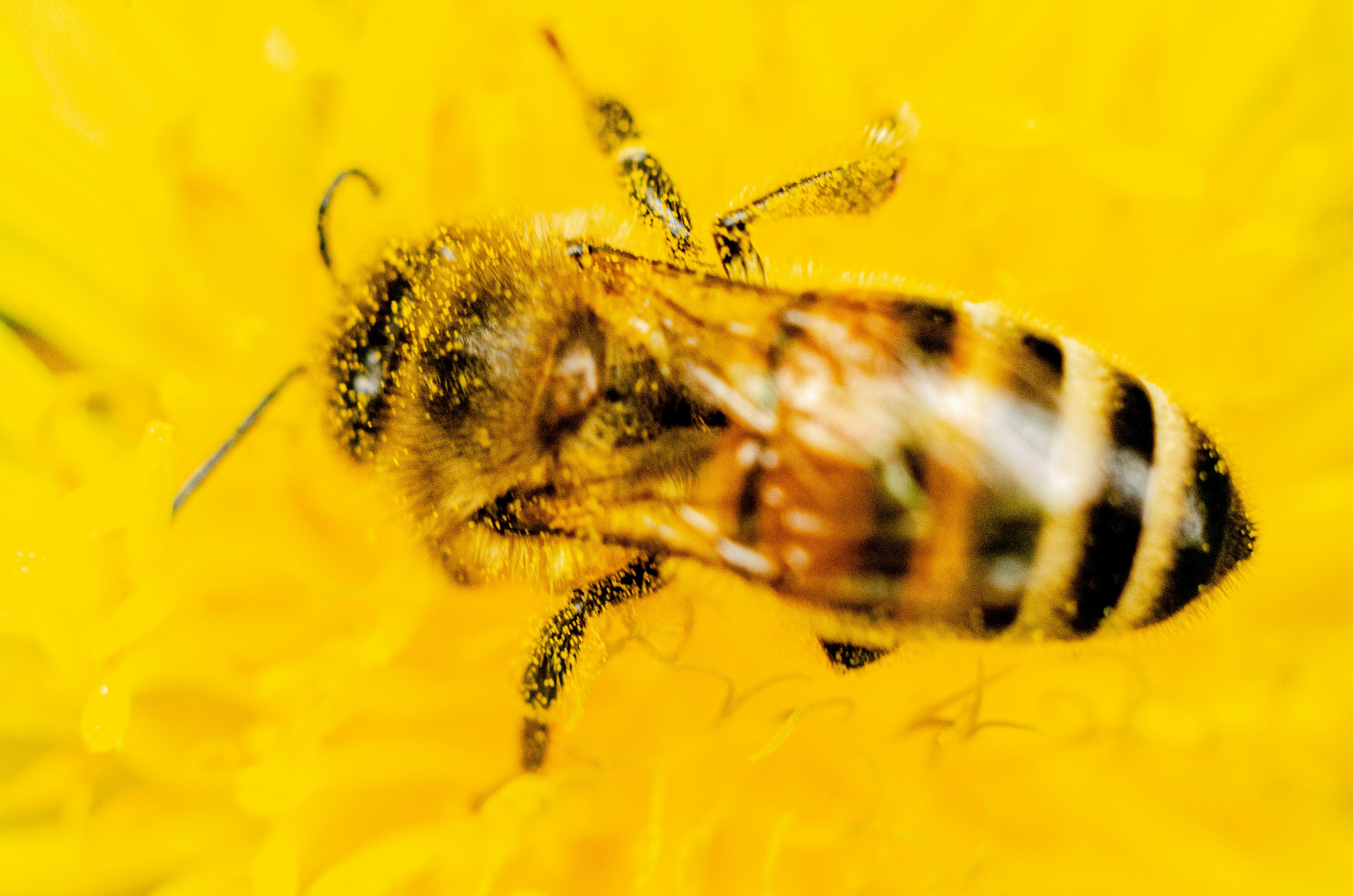 Alternative text for describing the image displayed