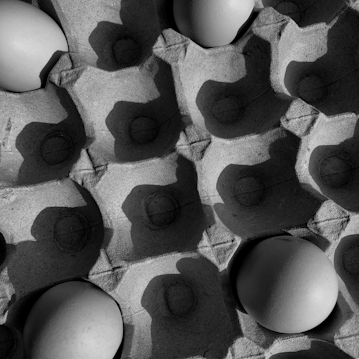Eggs resting in a textured, molded egg carton with a play of light and shadows across the surface, creating depth and highlighting the carton&rsquo;s geometric pattern.