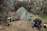 A green tent is set up in a bushy, grassy area, surrounded by trees and shrubs. There are several backpacks and camping gear scattered around, including two hiking poles, bags, and a rolled-up sleeping mat. The environment looks natural and outdoors.