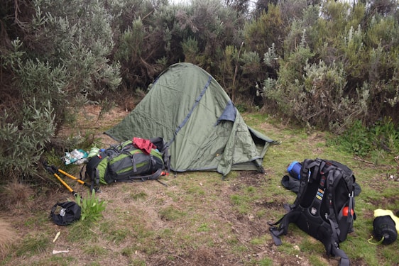 A green tent is set up in a bushy, grassy area, surrounded by trees and shrubs. There are several backpacks and camping gear scattered around, including two hiking poles, bags, and a rolled-up sleeping mat. The environment looks natural and outdoors.