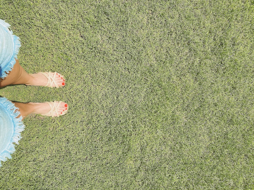 person standing on green grass field