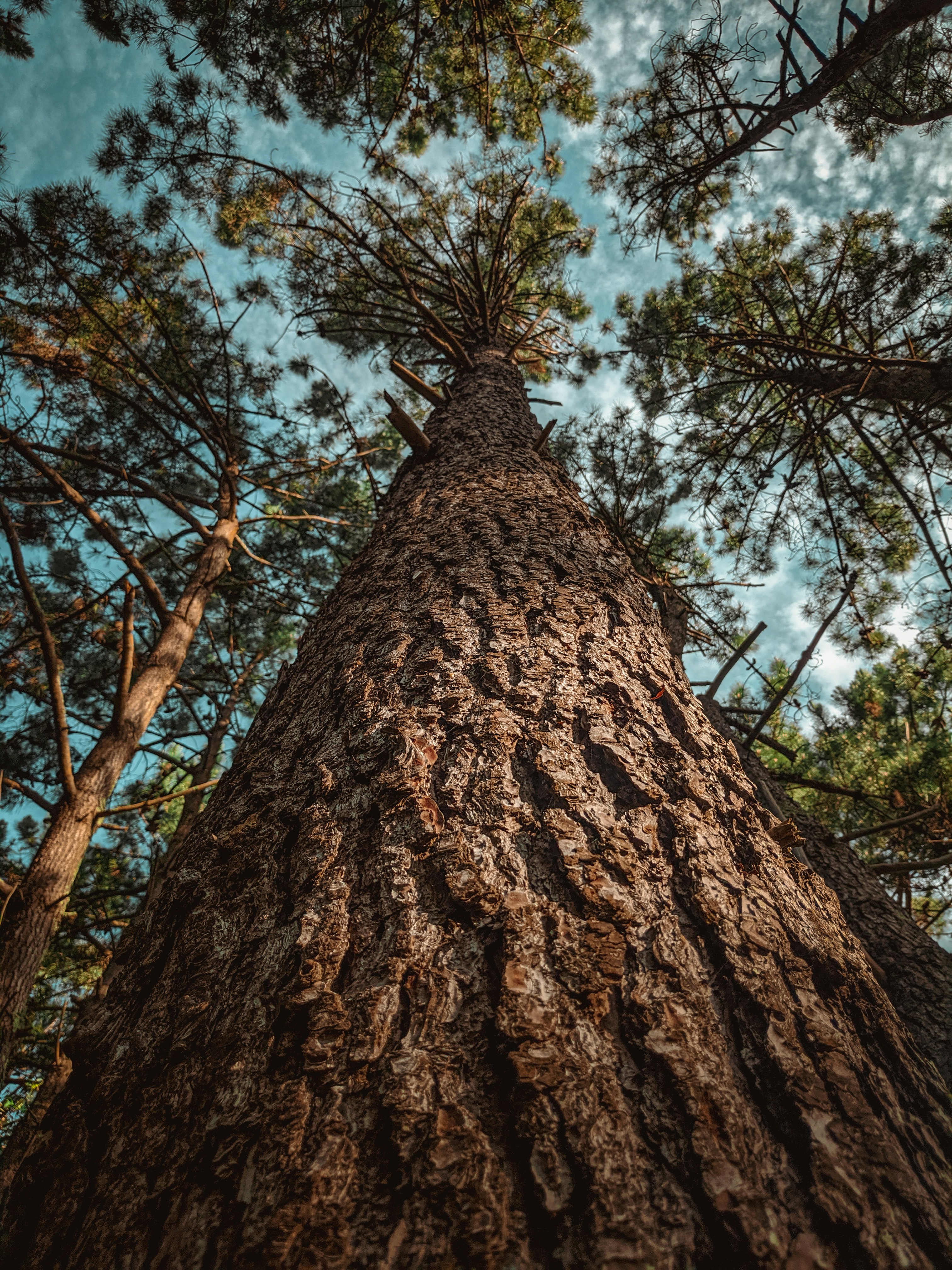 Photo by hidayatnur_k