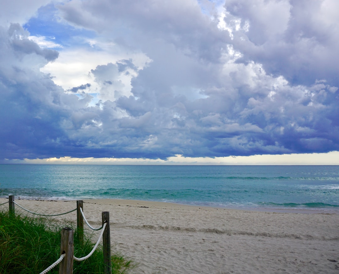 Tropical Storm Debby's Impact on Florida