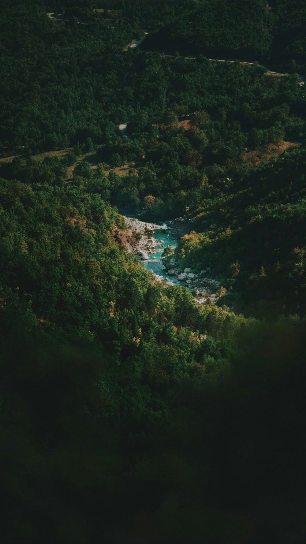 green trees near river during daytime