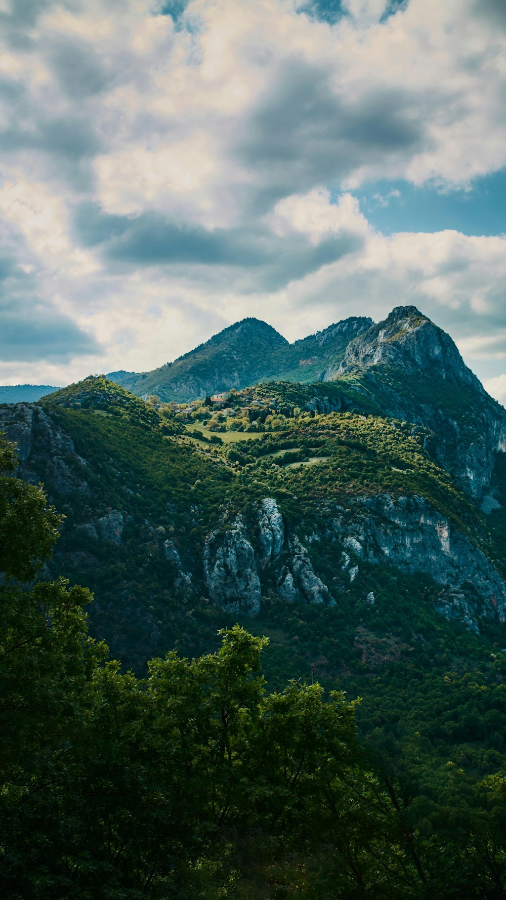 árvores verdes na montanha sob o céu nublado durante o dia