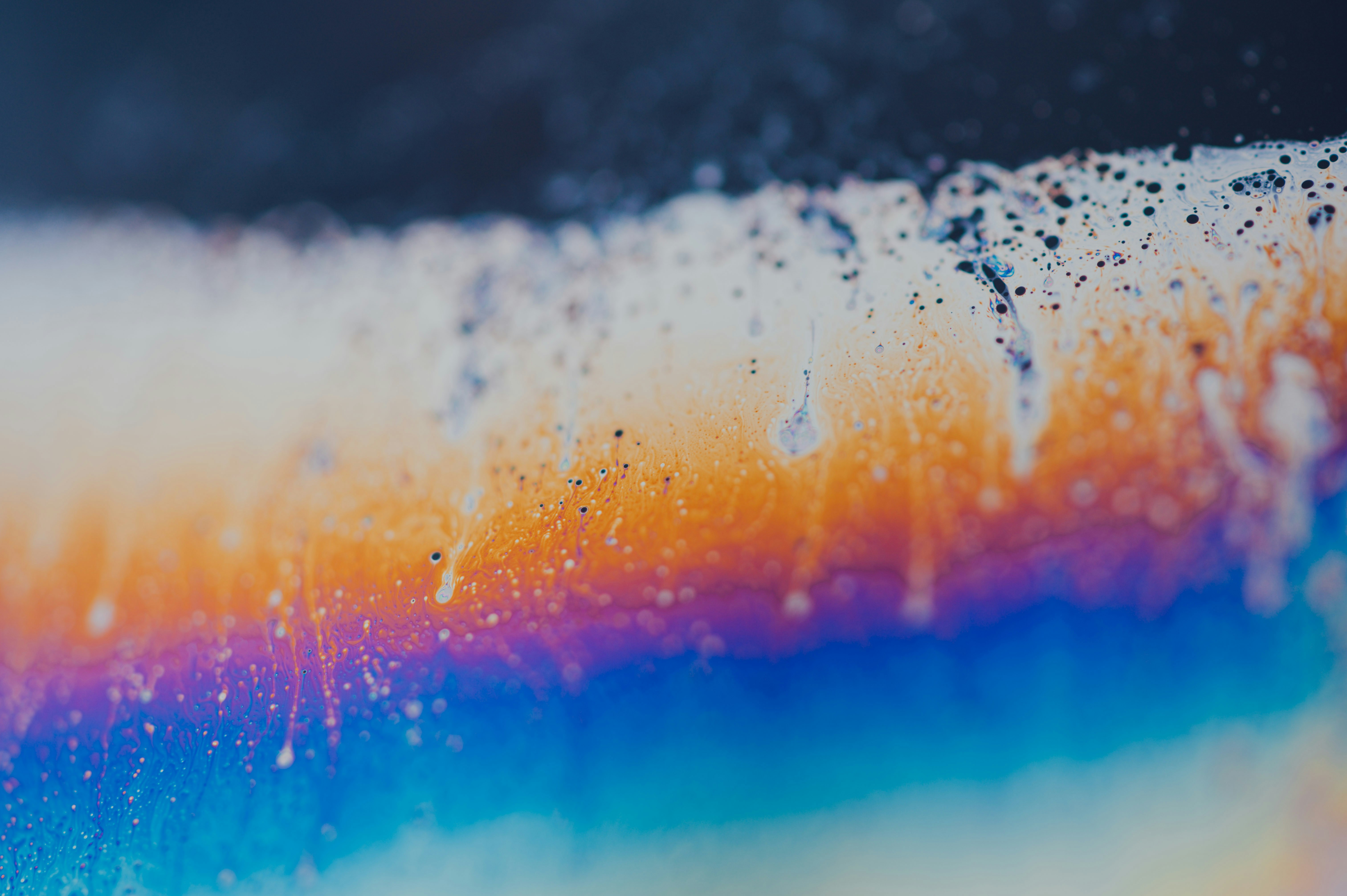 Photo by chuttersnap