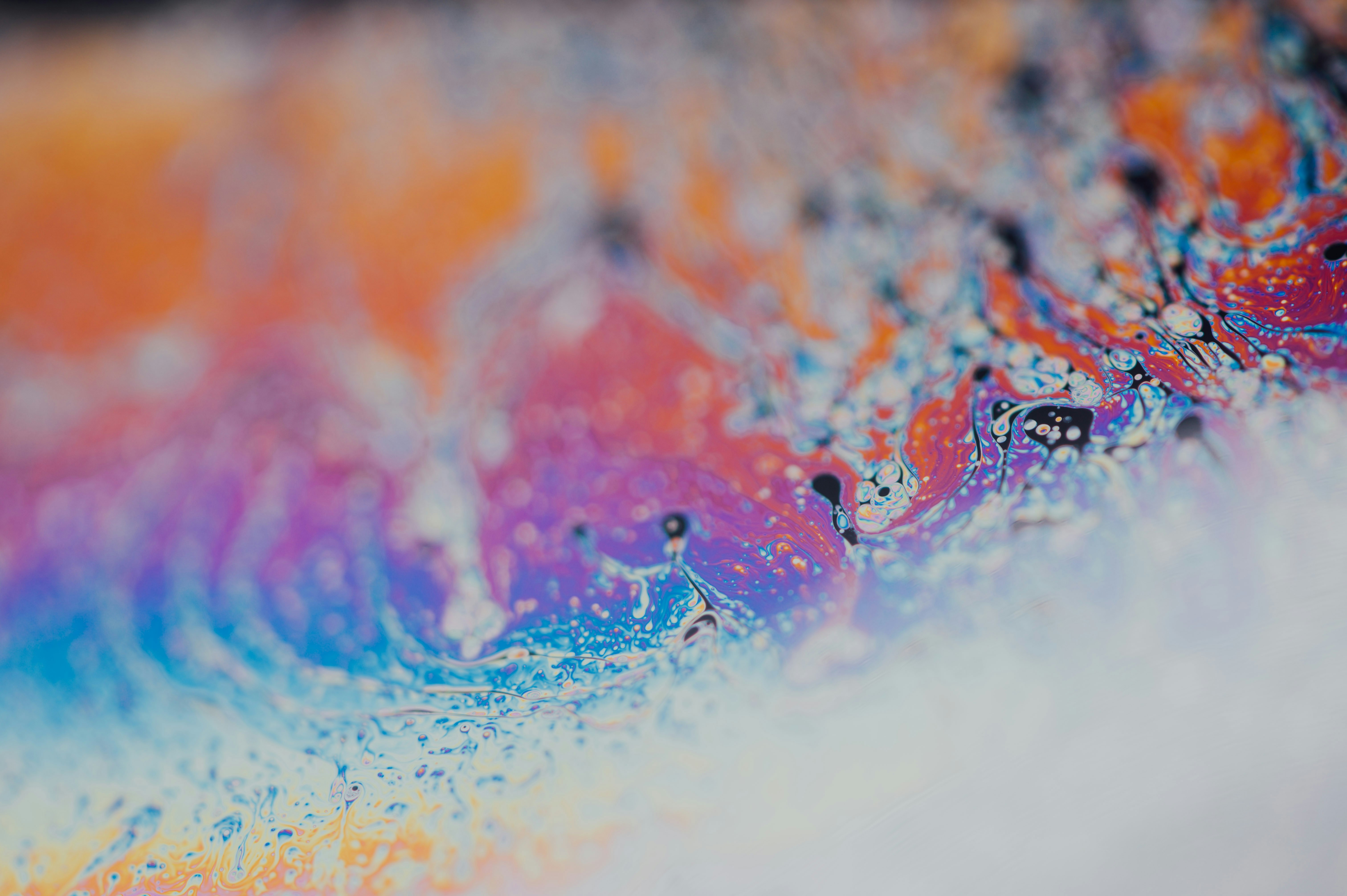 Photo by chuttersnap