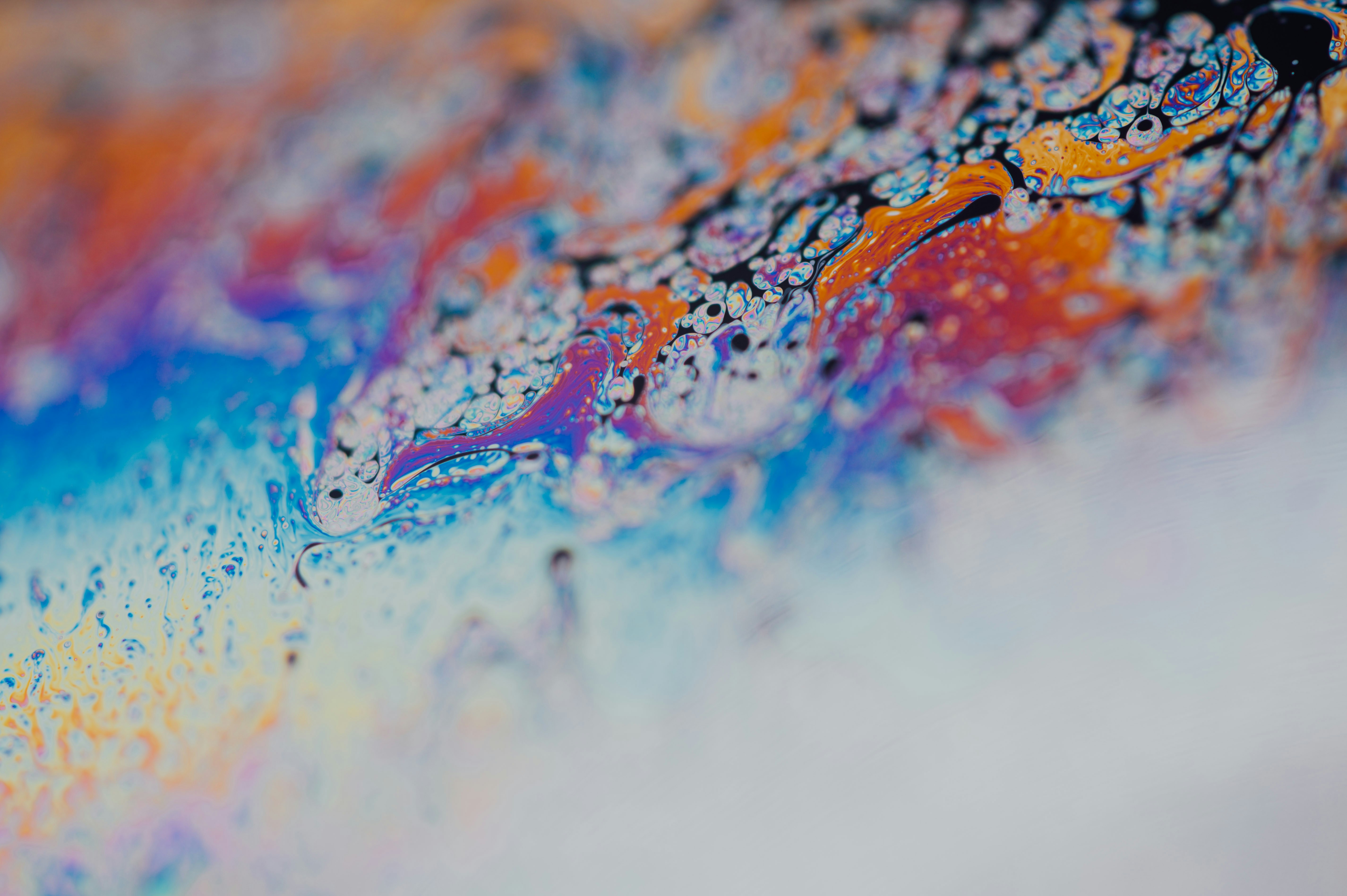 Photo by chuttersnap