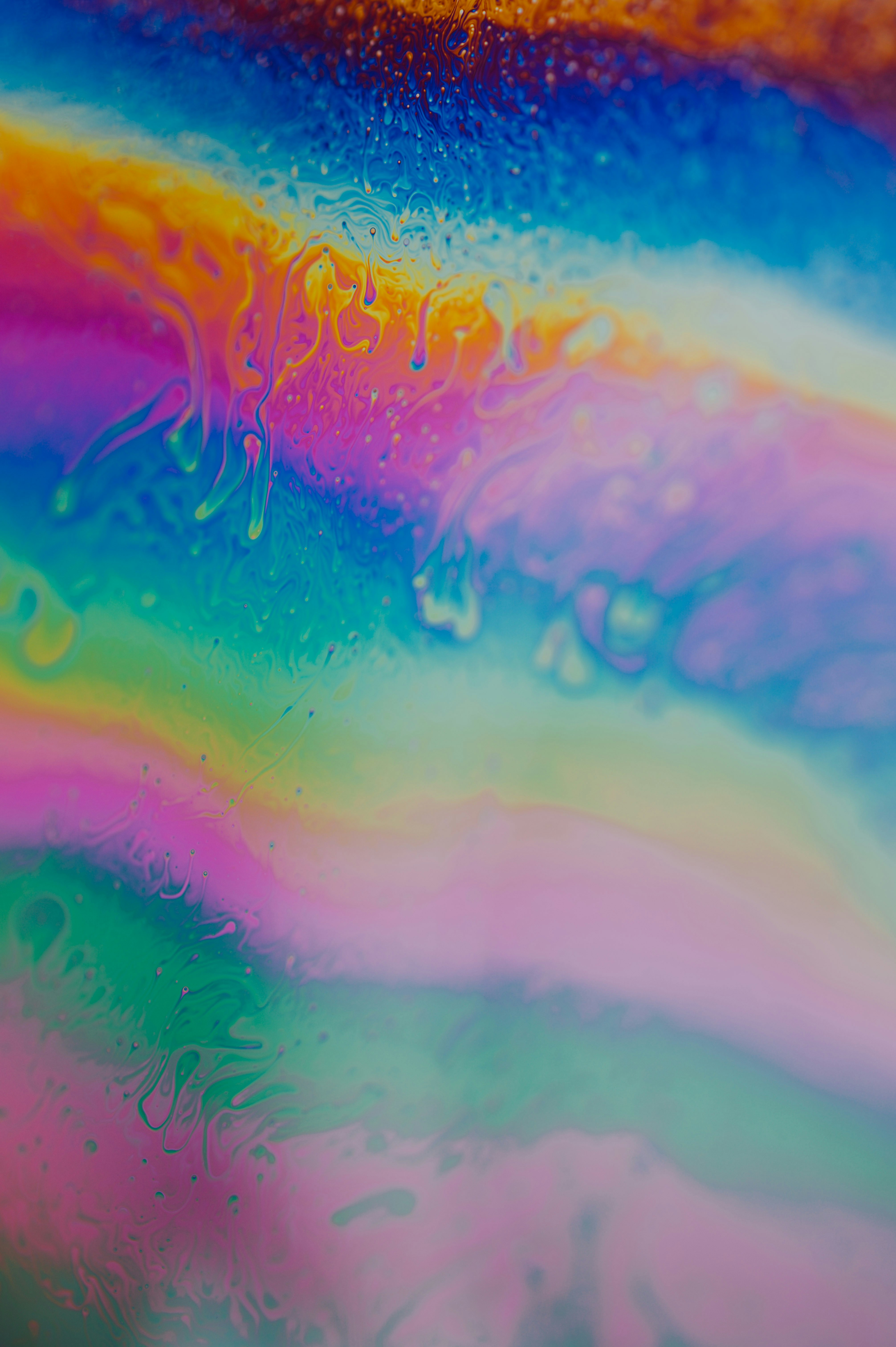 Photo by chuttersnap