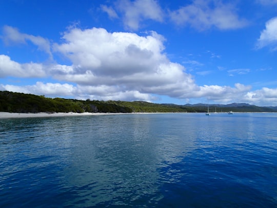 blue sea under blue sky and white clouds during daytime in Whitehaven Beach Australia