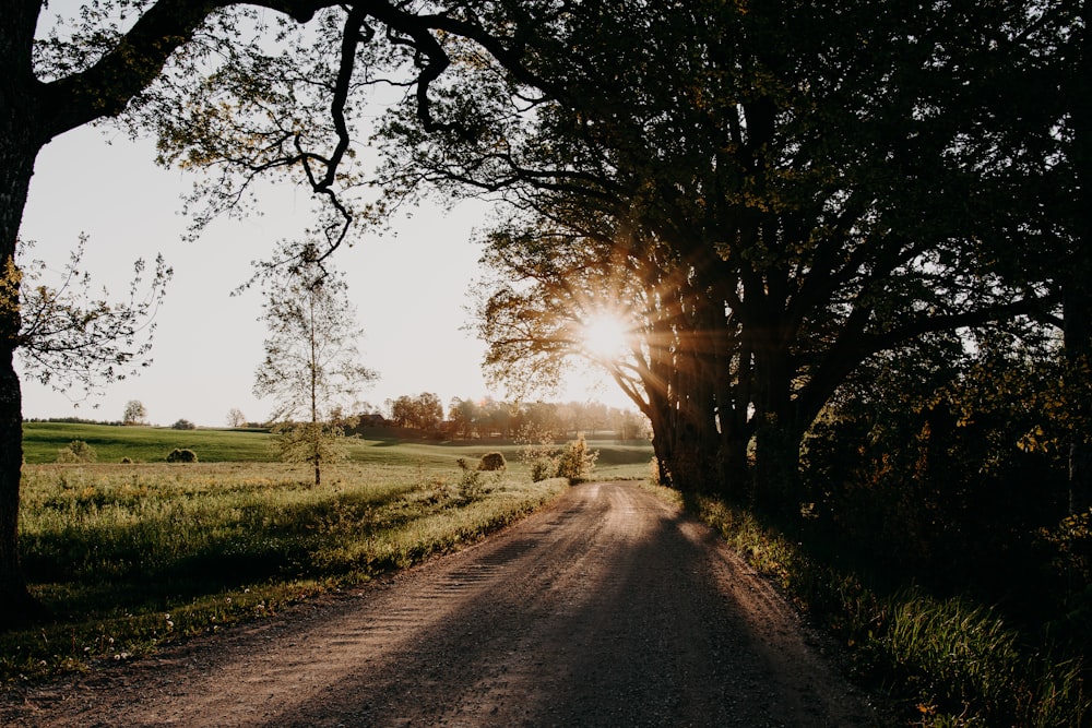 brown road between green grass field during daytime