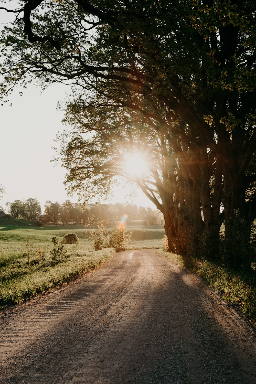 gray asphalt road between green grass field during daytime