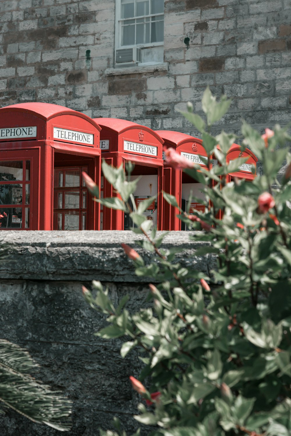 red telephone booth beside green plants