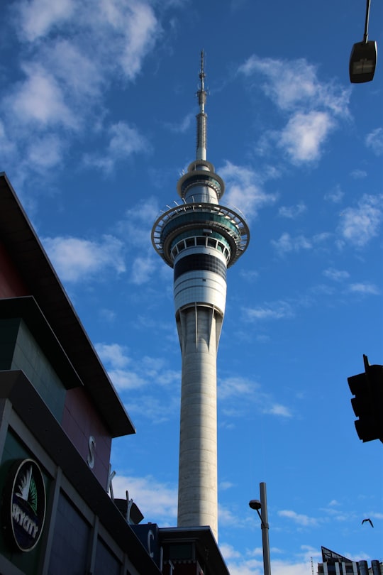 white and green concrete tower under blue sky during daytime in Sky Tower New Zealand