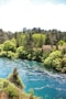 green trees beside body of water during daytime