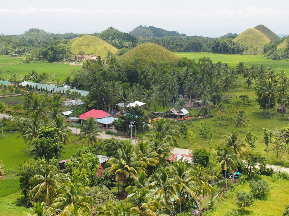 houses on green grass field during daytime