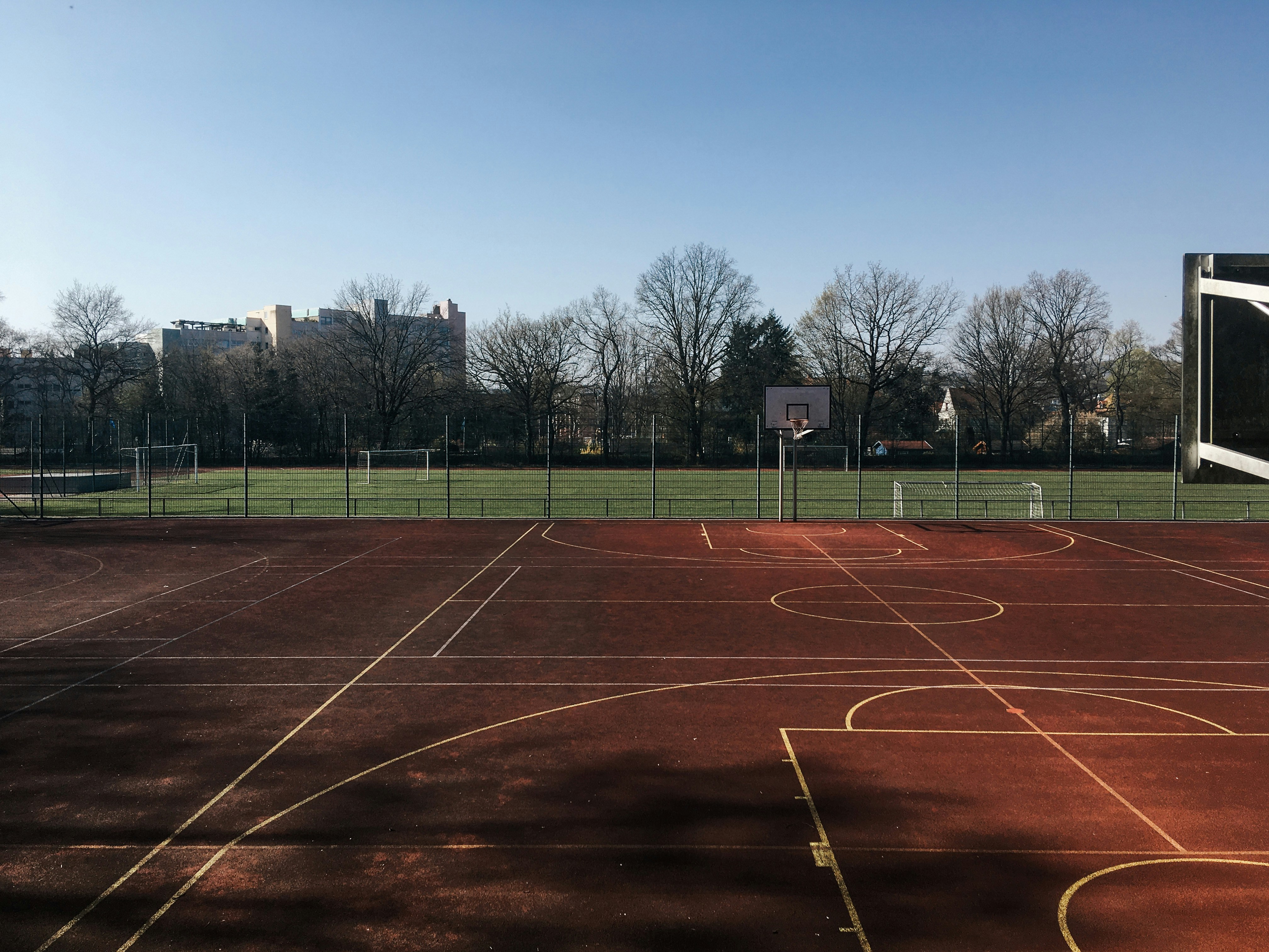 Tennis match in progress on grass court