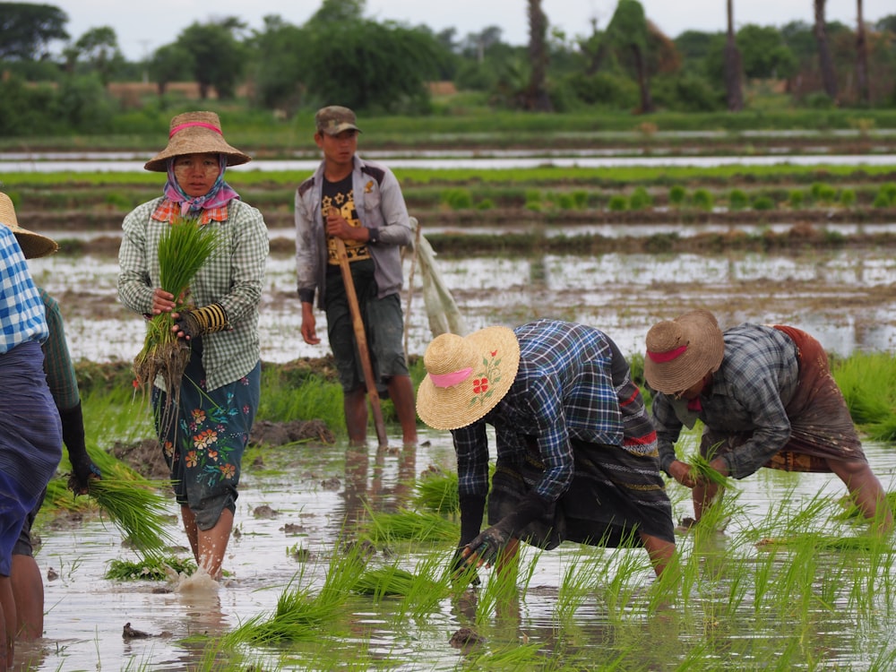 3 men and woman standing on water during daytime