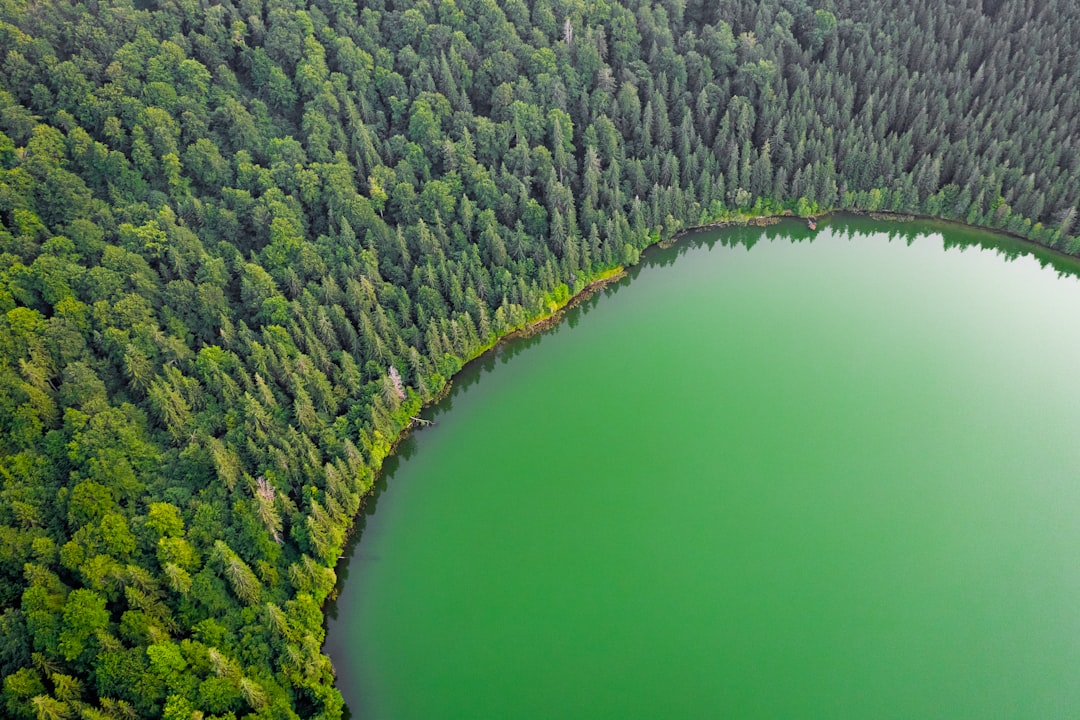 Nature reserve photo spot Lacul SfÃ¢nta Ana Moieciu