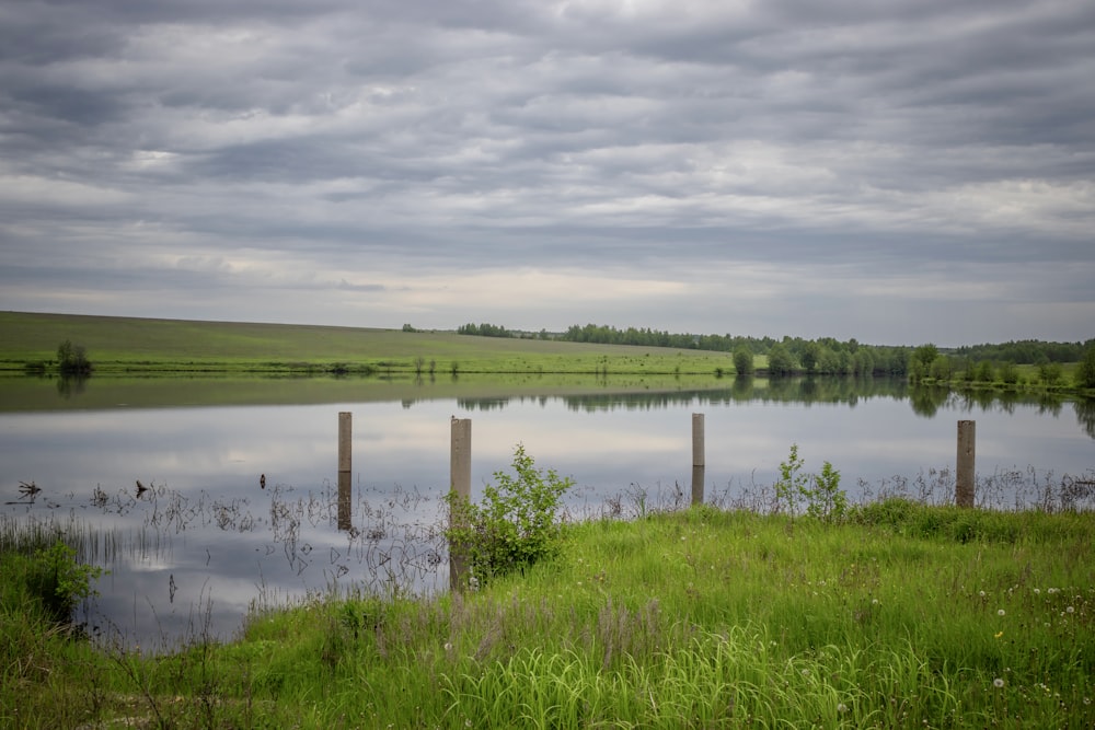 green grass field near lake under cloudy sky during daytime