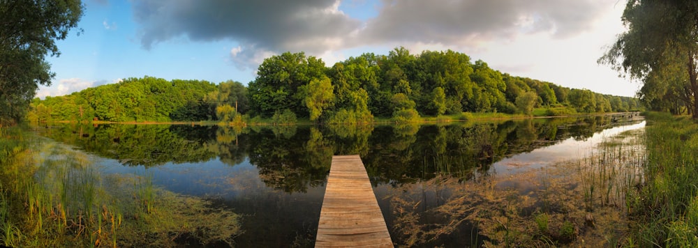 Quai en bois brun sur le lac entouré d’arbres verts pendant la journée