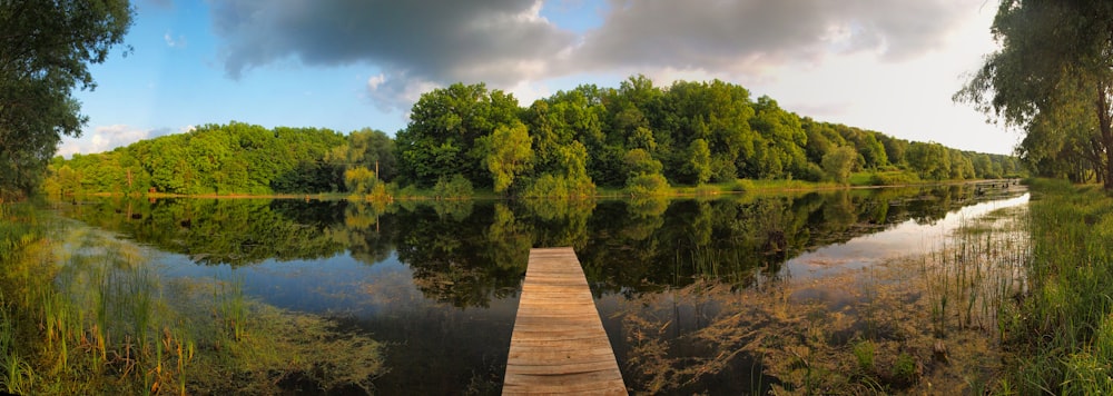 molo di legno marrone sul lago circondato da alberi verdi durante il giorno