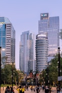 green trees near high rise buildings during daytime