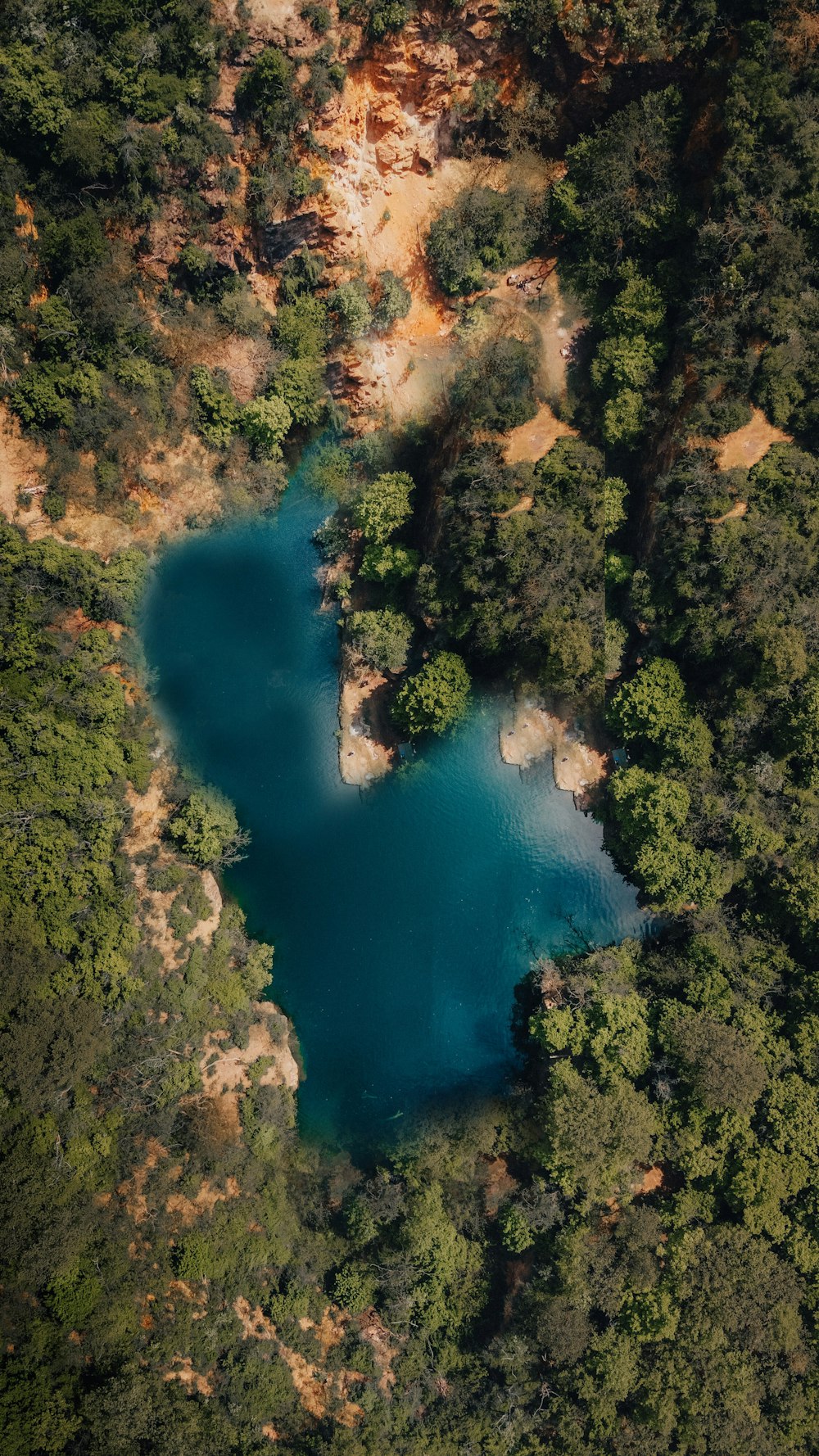 aerial view of green trees and blue lake during daytime