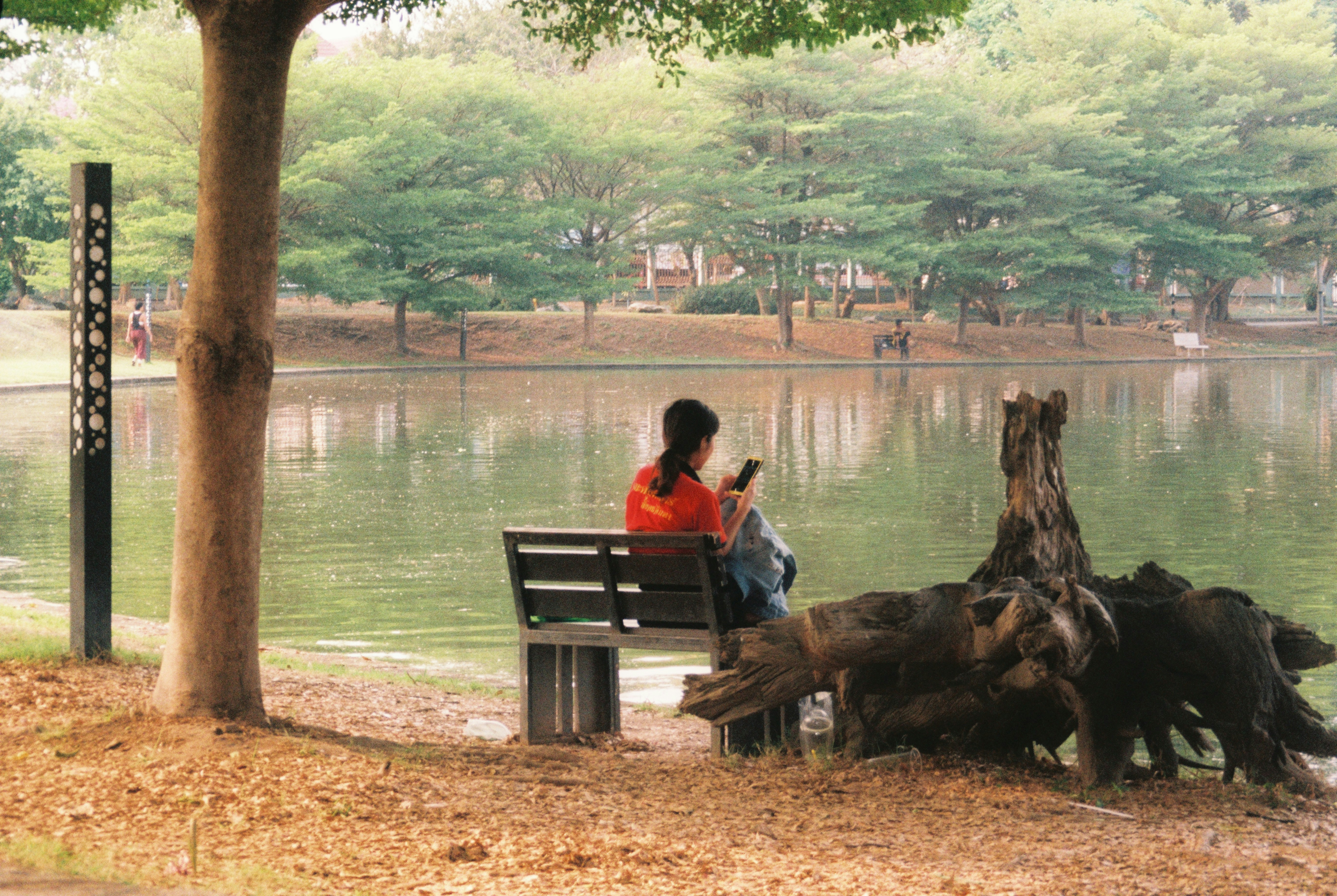 Femme en chemise rouge assise sur un banc en bois brun près du lac pendant la journée