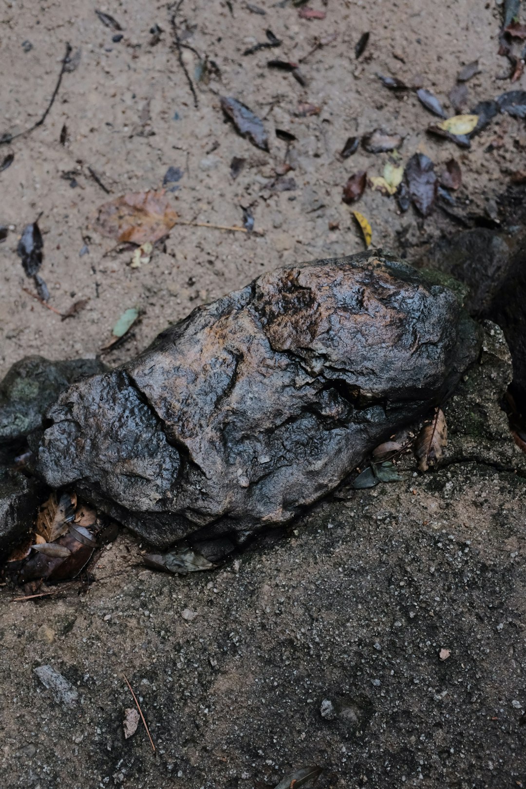 brown and black stone on brown soil