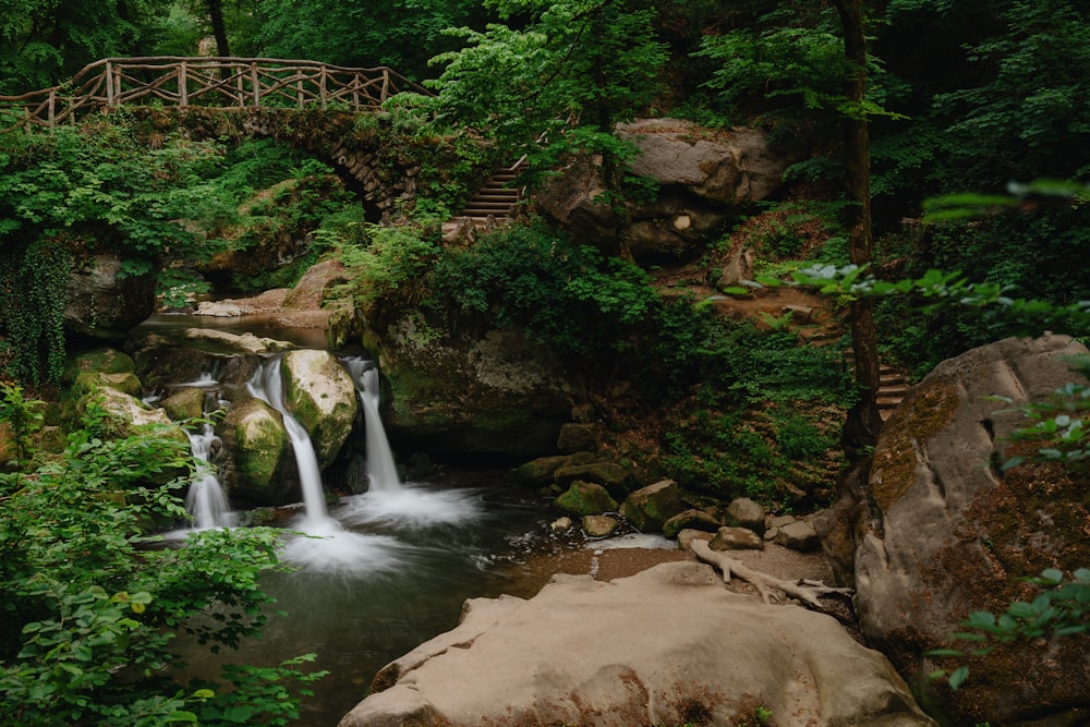 water falls in the middle of the forest