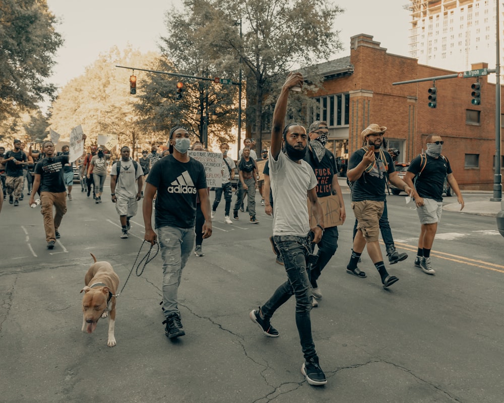 people walking on street with yellow labrador retriever during daytime