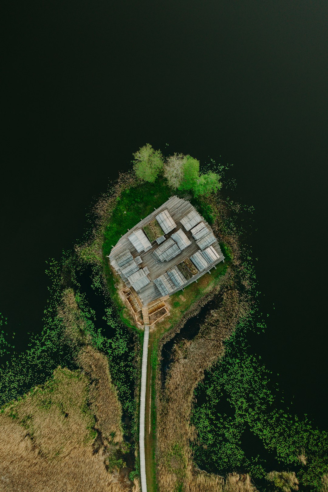 white and black concrete building surrounded by green trees during daytime