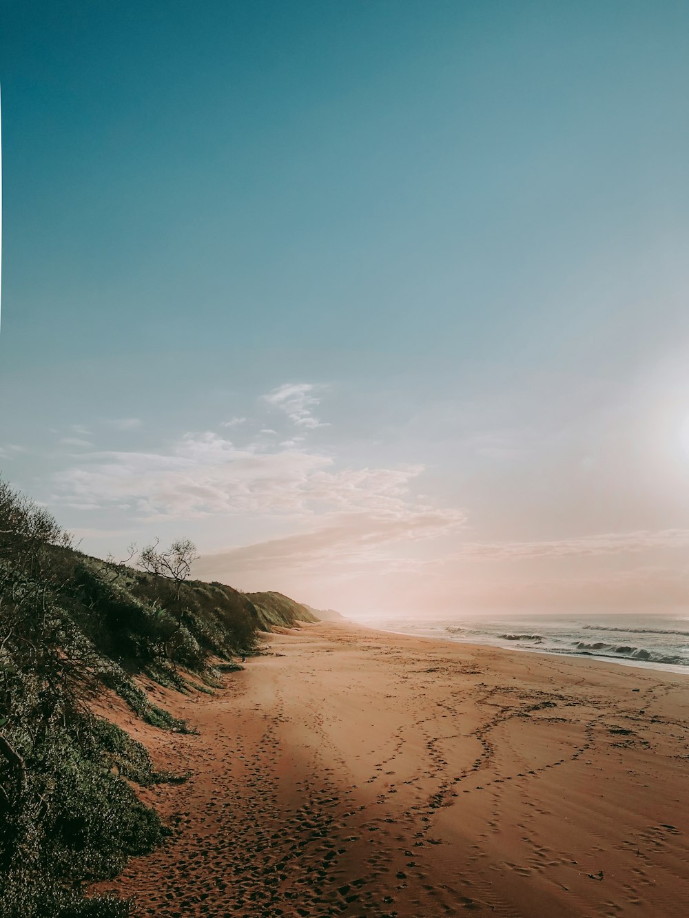 herbe verte sur le sable brun près de la mer pendant la journée