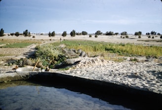 A desert landscape featuring patches of vegetation and a small body of water in the foreground. Several trees and shrubs are scattered across the sandy terrain, with some appearing in the distance. A couple of people are visible in the background, engaged in agricultural activities.