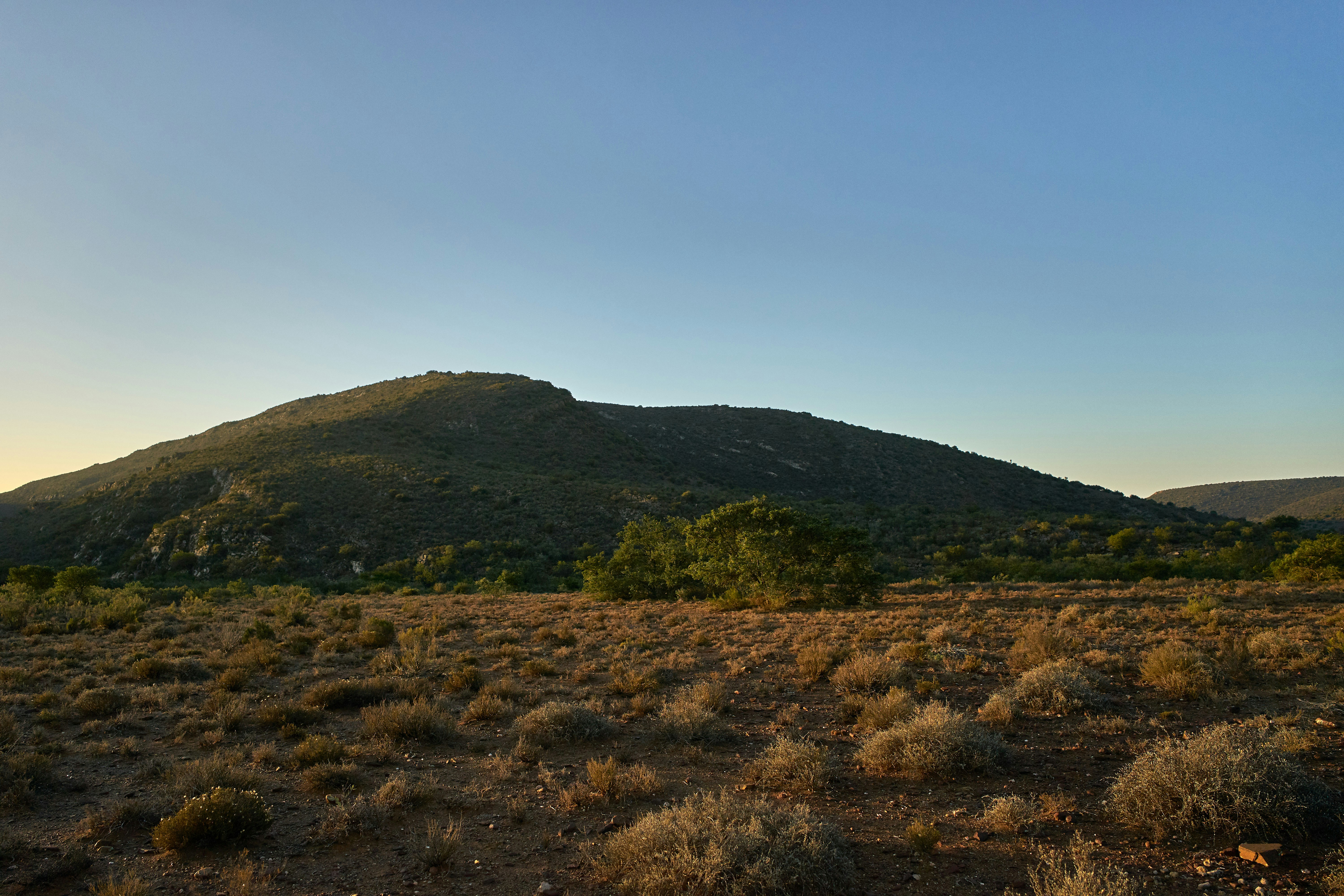 Photo by wolfgang_hasselmann