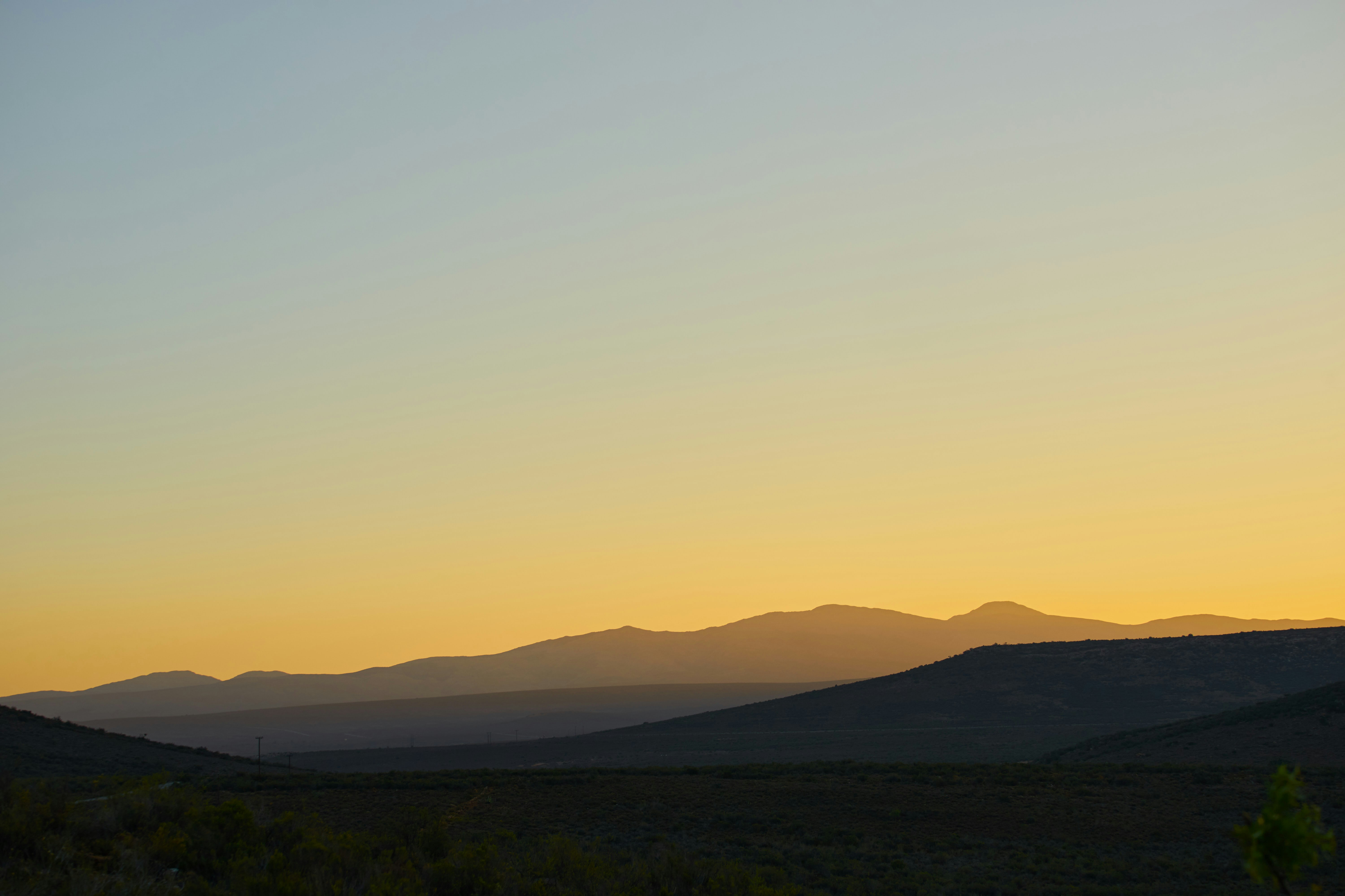 Photo by wolfgang_hasselmann