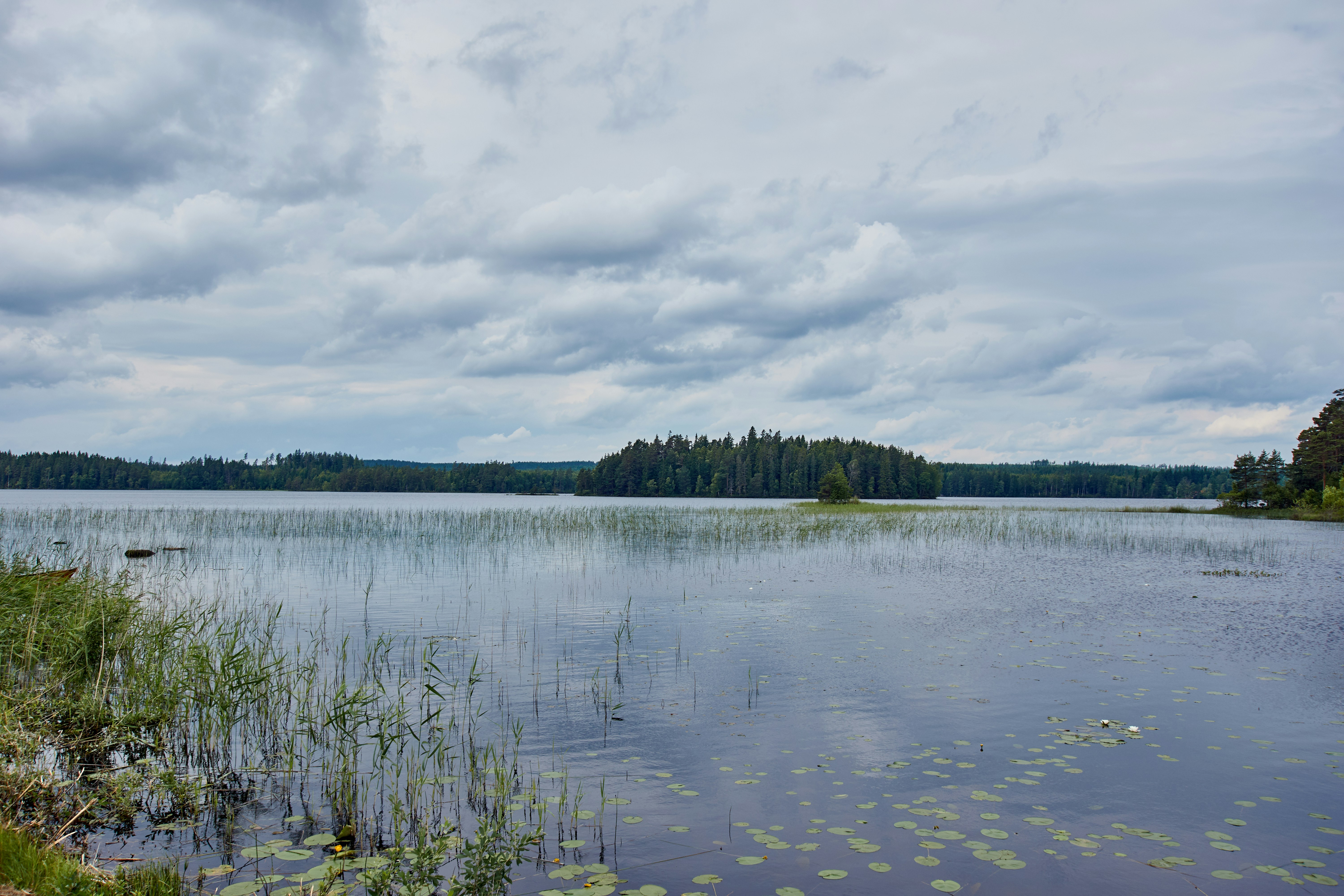 Photo by wolfgang_hasselmann