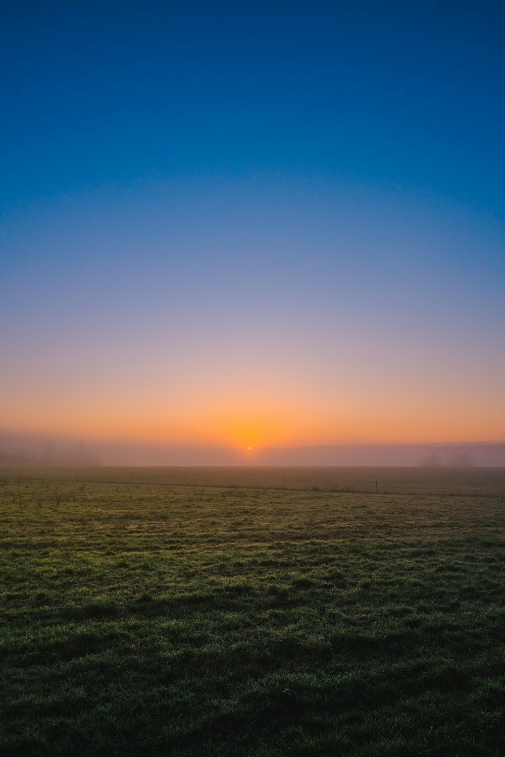 green grass field during sunset