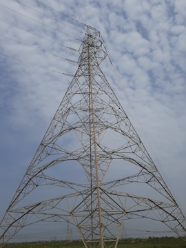 A large metal electricity transmission tower stretches into the sky, its lattice structure defined against a partly cloudy backdrop. The tower is surrounded by vegetation at its base and other distant towers can be seen along the horizon.