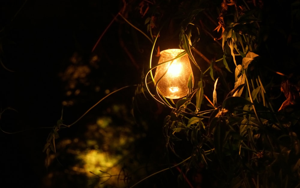 yellow and brown lamp turned on during nighttime