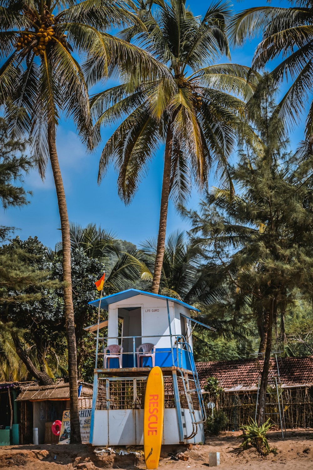 yellow and blue wooden house surrounded by palm trees