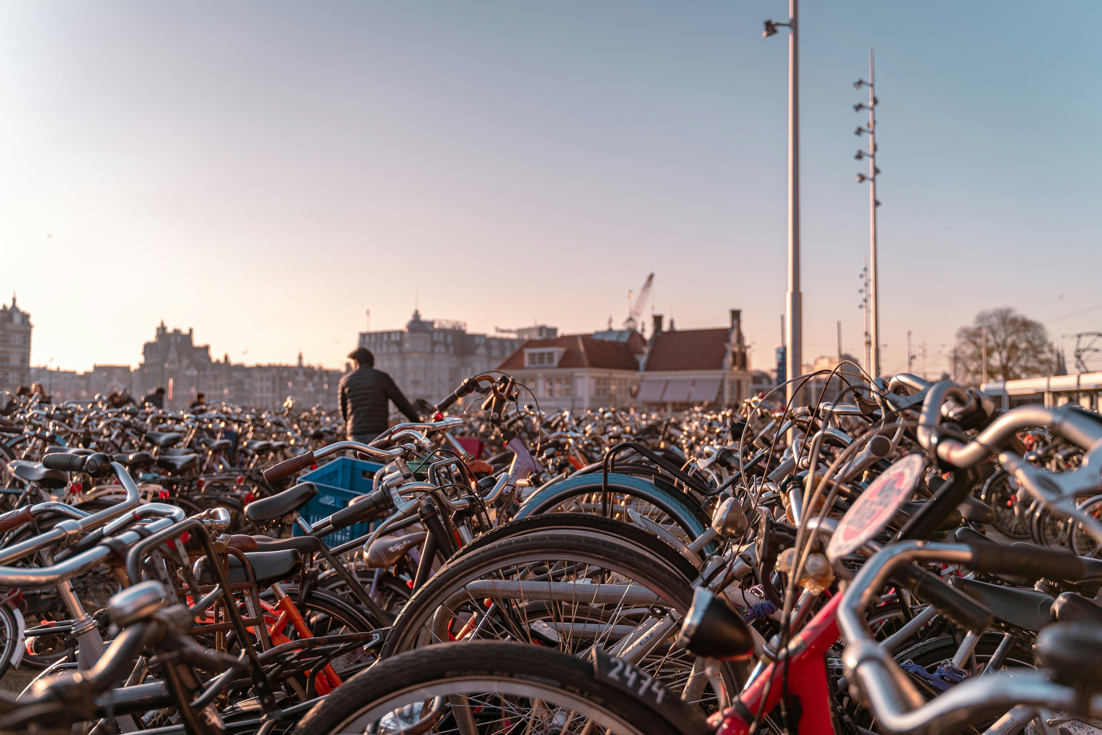 Photo by luciandachman