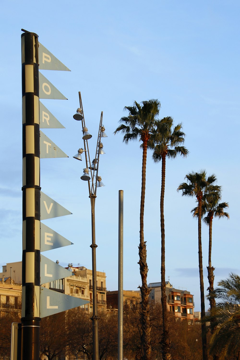 palm trees near brown concrete building during daytime
