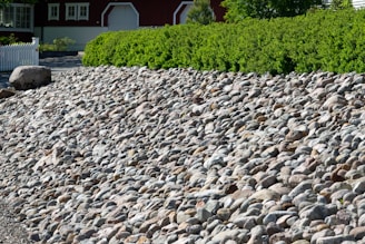 A sloped area covered with numerous small to medium-sized stones leading up to a hedge of lush green bushes. In the background, a red building with multiple windows and a white garage door is partially visible. A white picket fence is seen on the left side near a large solitary boulder.