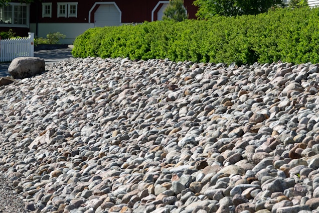A sloped area covered with numerous small to medium-sized stones leading up to a hedge of lush green bushes. In the background, a red building with multiple windows and a white garage door is partially visible. A white picket fence is seen on the left side near a large solitary boulder.