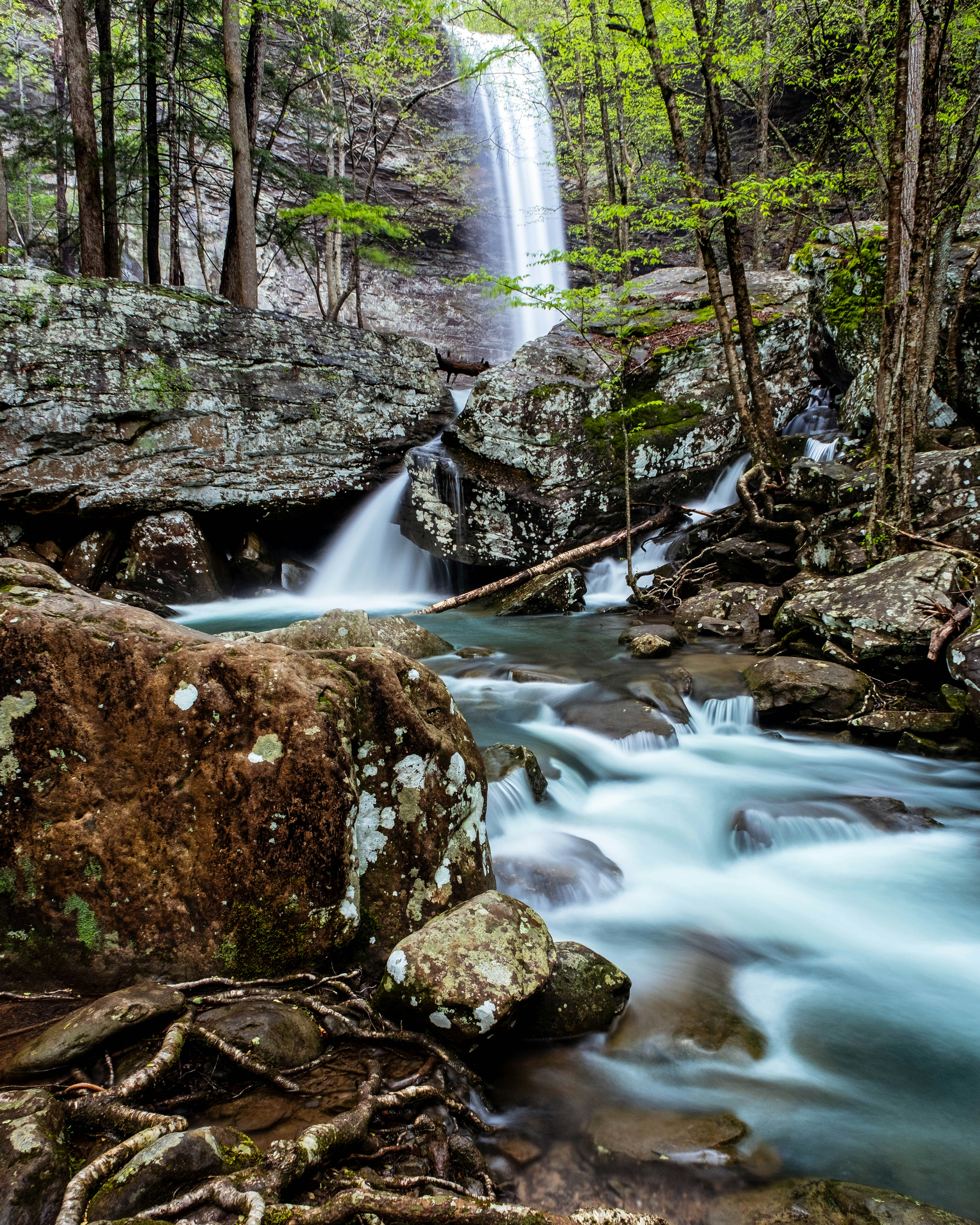 Photo by encausticexposures